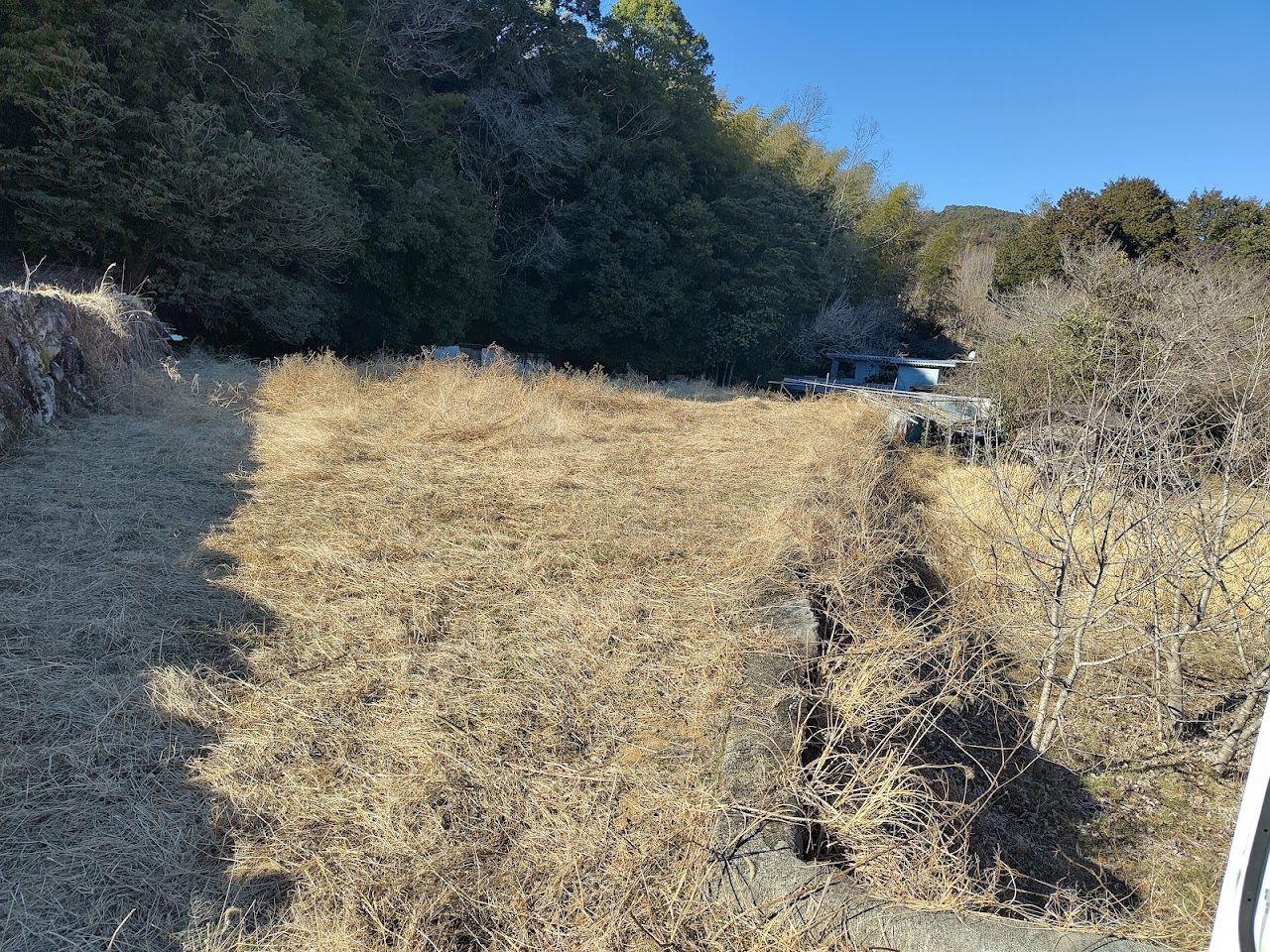 partially_cleared_field